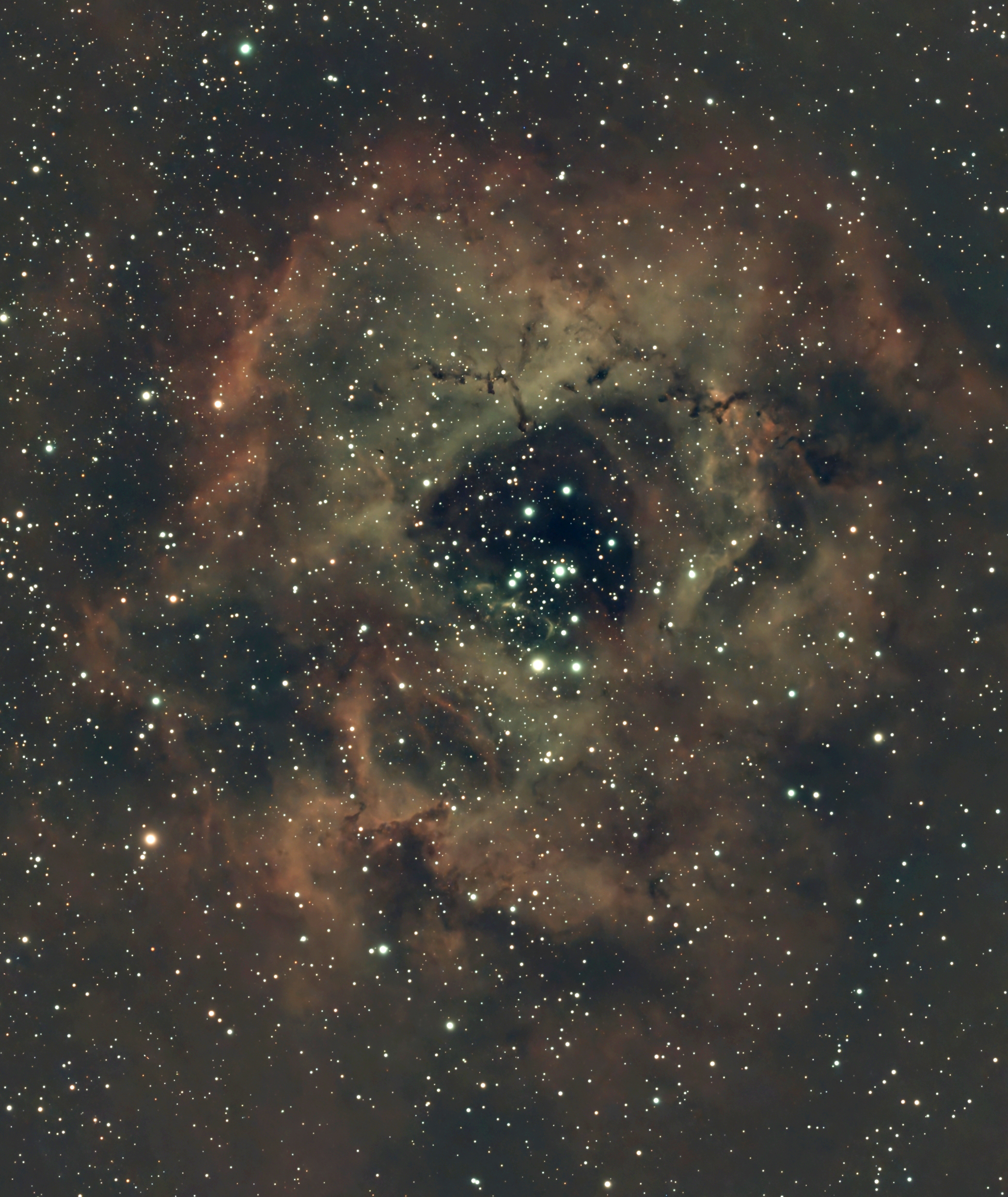 Rosette Nebula